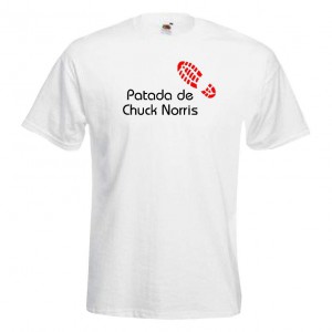 Patada Chuck Norris